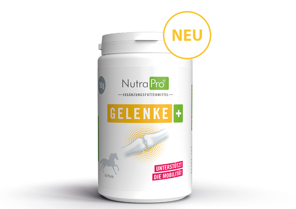 NutraPro® Plus Gelenke für Pferde